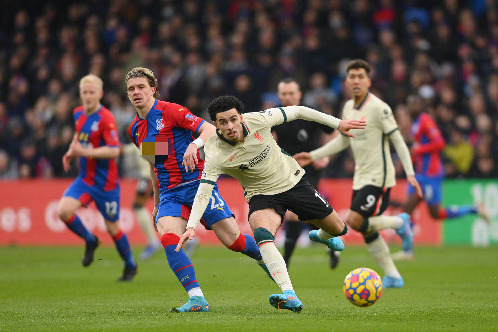 们在对阵南 们在对阵南